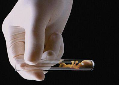 私人同性供卵代孕报价多少